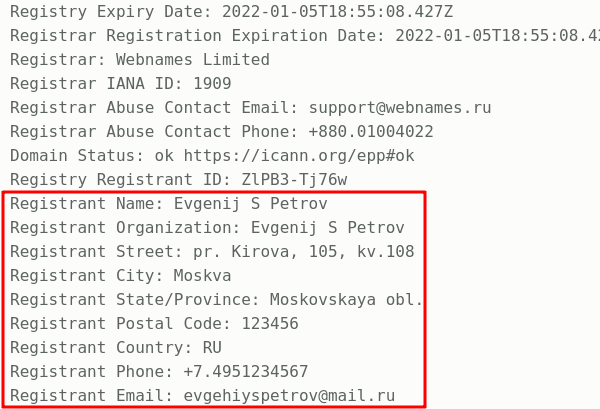 Защита регистрационных данных домена (whois)