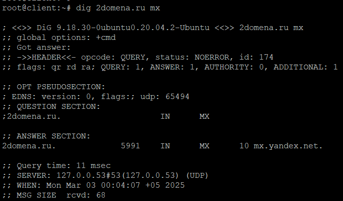 Проверяем DNS записи домена